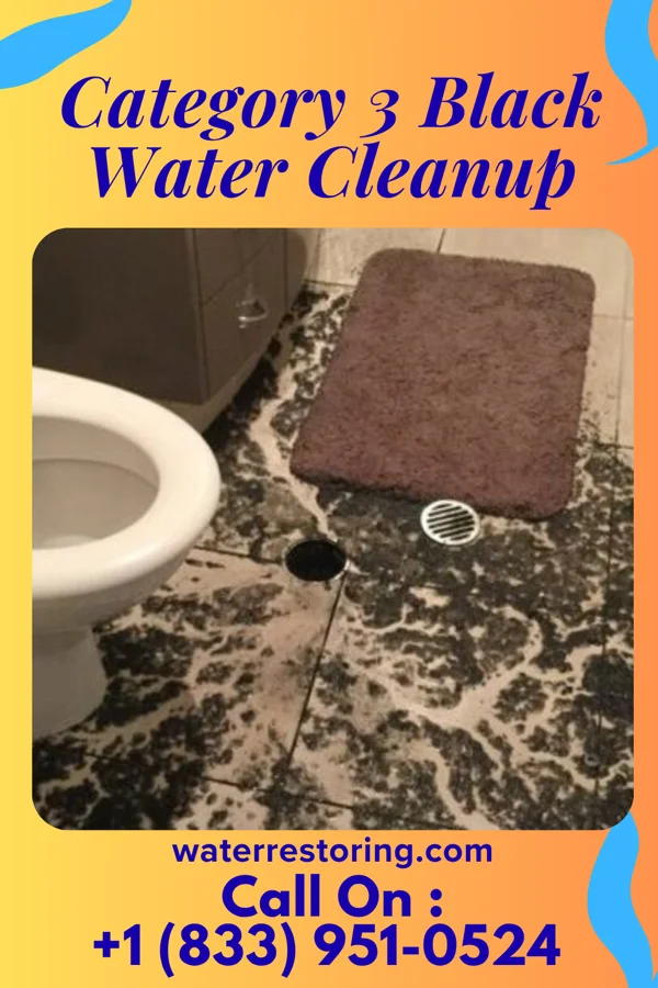 Category 3 Black Water Cleanup in Chenequa, WI