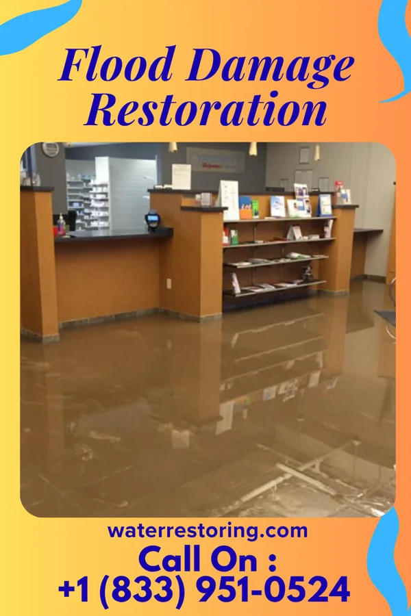 Flood Damage Restoration in Chenequa, WI