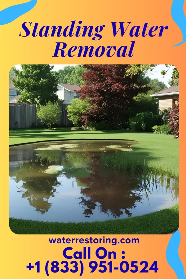 Standing Water Removal in Chenequa, WI